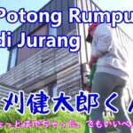 Baru pertama kali potong rumput pakai mesin. Aman dan gampang. 激安草刈り機「草刈健太郎くん」レビュー