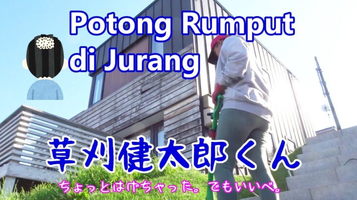 Baru pertama kali potong rumput pakai mesin. Aman dan gampang. 激安草刈り機「草刈健太郎くん」レビュー