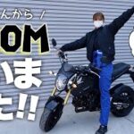 【バイク購入】まーさんからグロムを買いました！！【HONDA GROM】