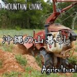 島らっきょう作り　培土作業　耕運機を使う　沖縄産【INAHO_FARM】リアルな森の生活 in Okinawa