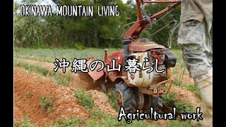 島らっきょう作り　培土作業　耕運機を使う　沖縄産【INAHO_FARM】リアルな森の生活 in Okinawa