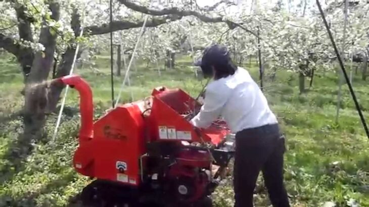 カルイ樹木粉砕機　リンゴせん定枝を束ねて粉砕　ドラコンKDC-1300B