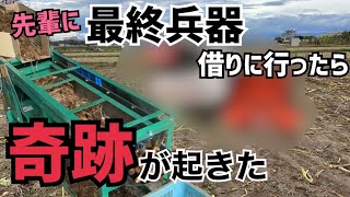 [奇跡のラスト]最終兵器で里芋のヒゲ取り！種芋の貯蔵法も公開！最後まさかあんな事になるなんて！（ネトリマー）三菱トラクターMT52、ホクエツ掘取機