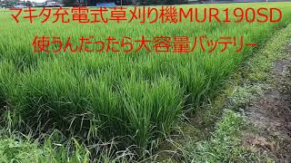 マキタ充電式草刈り機MUR190SD　使うんだったら大容量バッテリー　21/08/14 Vol.1095