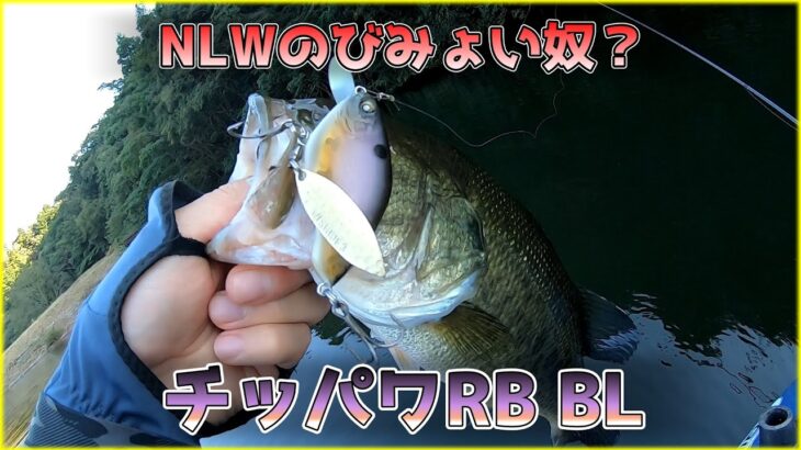 【NLW】※これはクランクベイトじゃありません【チッパワRBBL】