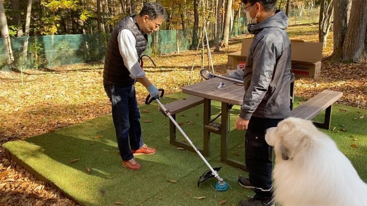【ルンルンの裏庭】雑談：お父さんmakitaのバッテリー草刈り機を手に入れる