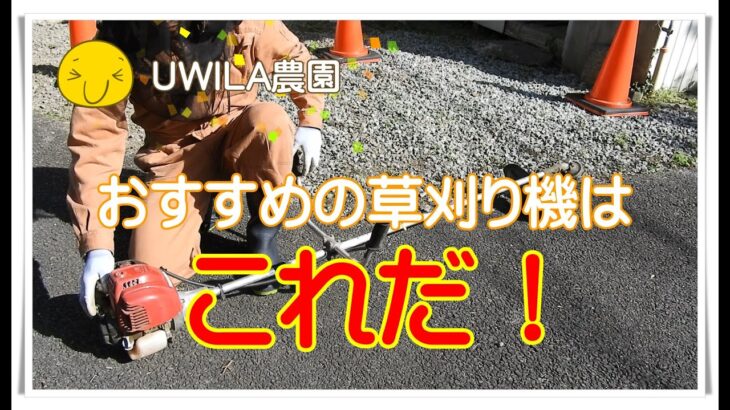 【おすすめ草刈り機】気まぐれゆるゆるＵＷＩＬＡ農園