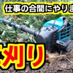 【 草刈り 】仕事の合間に 草刈り機 で 雑草 を刈りまくり。