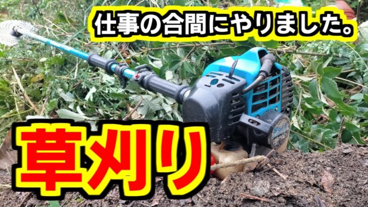 【 草刈り 】仕事の合間に 草刈り機 で 雑草 を刈りまくり。