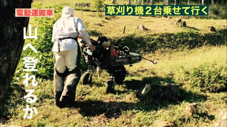 田舎暮らしの日常　草刈り機を乗せた電動運搬車は山を登れるのか？　ひたすら草刈り　飛騨の山奥での生活