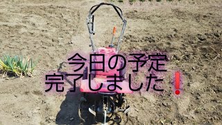 天気が悪いと思っていたけど、耕運機動かせた❗️