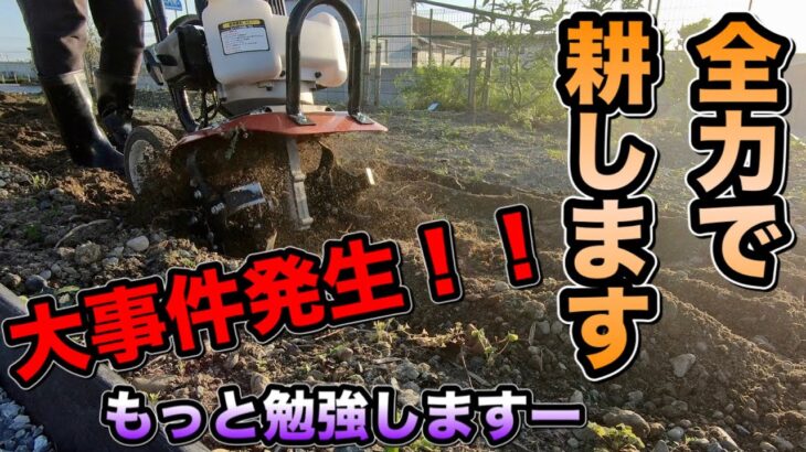 【家庭菜園】ホームセンターで購入した耕運機でカチカチの畑をとにかく耕します