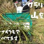 【草刈り】草刈り機ハンマーナイフモアのお食事♪週末田舎暮らしで自然と暮らす！