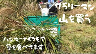 【草刈り】草刈り機ハンマーナイフモアのお食事♪週末田舎暮らしで自然と暮らす！