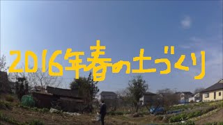 2016年春　ジャガイモ植え付け前の土づくり　耕運機暴走！？