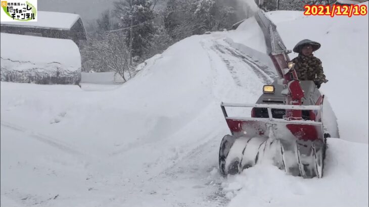 今シーズン初の投雪機での除雪をしました〜豪雪地帯のルーティン①〜2021/12/18