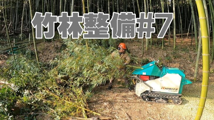 竹の伐採と処理#7　竹林整備　伐採とウッドチッパー粉砕機