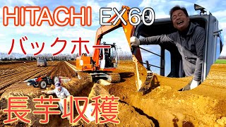 川西長芋収穫【バックホー】【ユンボ】ナガイモ HITACHI EX60 十勝平野　農作業 機械 はたらくくるま