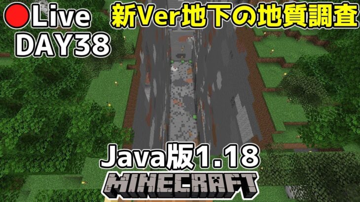 [マイクラ生放送]Java版1.18、38日目はYマイナスの世界を穴掘り