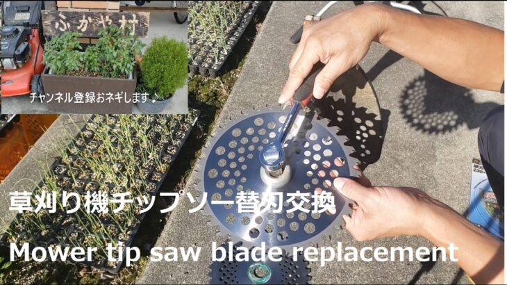 草刈り機チップソー替刃交換のやり方　Mower tip saw blade replacement