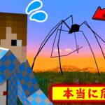 【マイクラアドオン】超巨大クモ登場！？絶対に近づくな。。【マインクラフトPE脱獄なし】