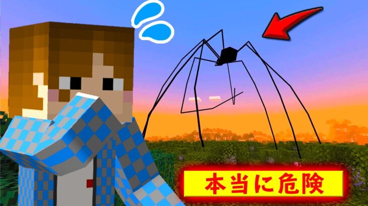 【マイクラアドオン】超巨大クモ登場！？絶対に近づくな。。【マインクラフトPE脱獄なし】