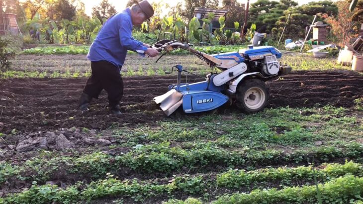Plow the field with a cultivator  耕運機をかける
