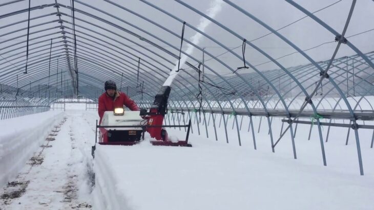 WADO大型除雪機「SXG4512」ハウス除雪