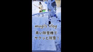 青い除雪機でサクッと除雪！