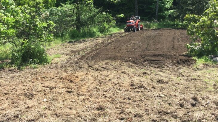 久留米藍草生産者協同組合　 田主丸　藍畑　耕運機作業その４