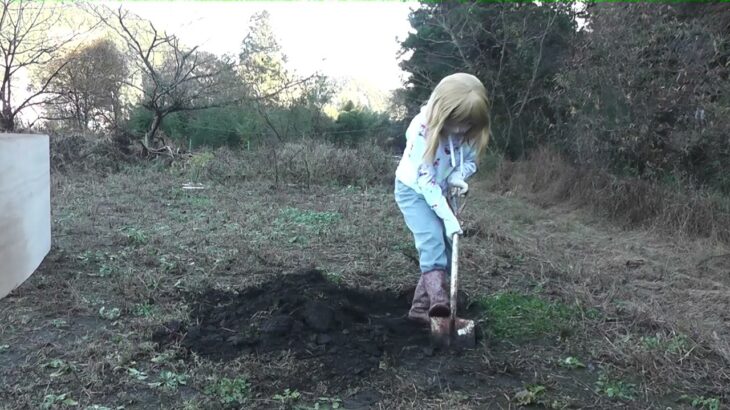 着ぐるみ農作業　シャベルで穴掘り♪