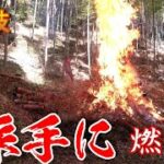 急斜面の竹山でド派手に竹の枝を処分します（野焼き・竹林管理）