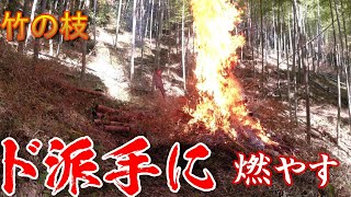 急斜面の竹山でド派手に竹の枝を処分します（野焼き・竹林管理）