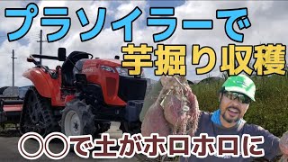 トラクター(プラソイラー)で芋掘り