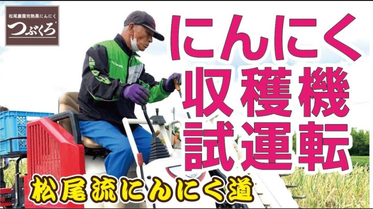 ニンニク　試運転　試し掘り　収穫作業の様子　機械掘り　ヤンマー　収穫機　黒にんにく 通販　農薬不使用