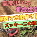 【耕運機での畝作り】ズッキーニの植え付け　農業男子の都会近郊農業