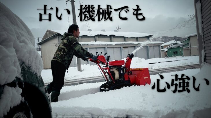 【修理した除雪機さっそく使う羽目になった】猫は喜び庭駆けまわる