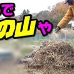 【堆肥の作り方】プロ農家のワザ 無料でできる「雑草堆肥」の作り方 「山積み編」