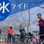 六甲ヒルクライム with はぁはぁ倶楽部さん🚴(;´Д｀) さくっと楽しい朝クライム🚴