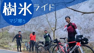 六甲ヒルクライム with はぁはぁ倶楽部さん🚴(;´Д｀) さくっと楽しい朝クライム🚴