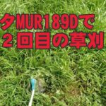 【田舎暮らし】マキタの充電式草刈り機で伸びすぎた草を刈った【草刈りしたで！#1】