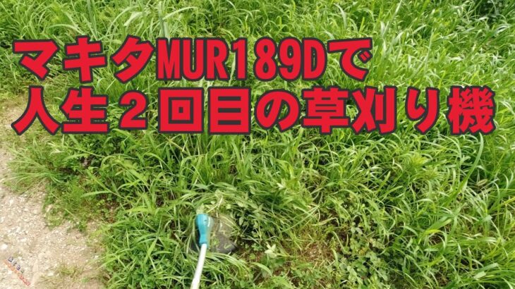 【田舎暮らし】マキタの充電式草刈り機で伸びすぎた草を刈った【草刈りしたで！#1】