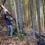 竹林整備記録映像2021年　神奈川県小田原市　30年以上放置されてきた竹林の整備を開始