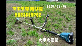 マキタ草刈り機36V:大源太農園20200505