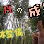 【竹林整備　9か月の成果】