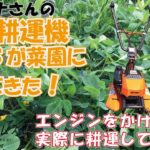 【家庭菜園・耕運機】デイトナ　ミニ　DC２S　実際に耕運してみた！サスペンションで疲れ知らず【ハタムスビ・DAYTONA②】