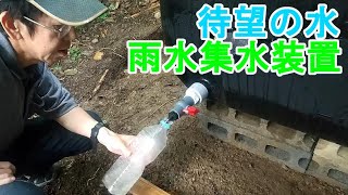 【DIY】雨水集水装置を作ってみた！　取水器レインソーター＋ローリータンク500L