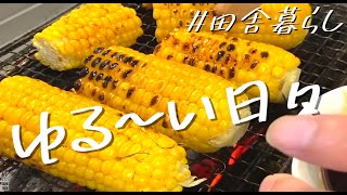 【夫婦の日常】ゆる～いアラフォー夫婦田舎暮らしVlog【電動草刈り機】