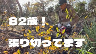 ４７【遊べる場所づくり】チェーンソーで木を伐採