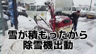 【ロータリー式除雪機】積もったら除雪…そして積もったら除雪なのだ。